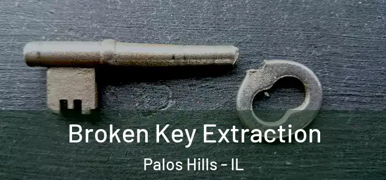 Broken Key Extraction Palos Hills - IL