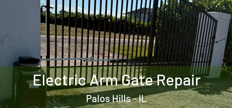  Electric Arm Gate Repair Palos Hills - IL