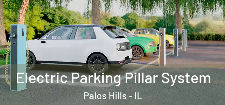 Electric Parking Pillar System Palos Hills - IL