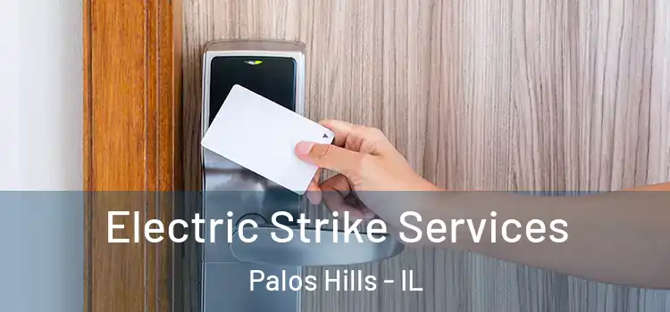 Electric Strike Services Palos Hills - IL