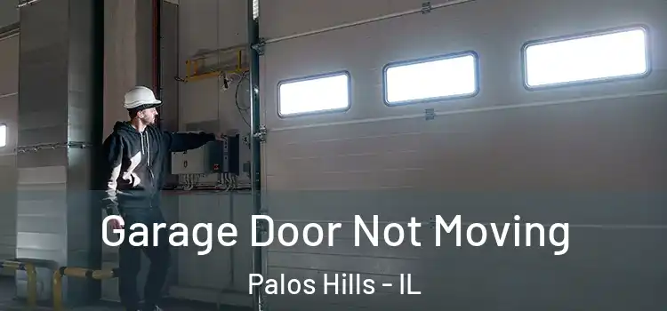  Garage Door Not Moving Palos Hills - IL