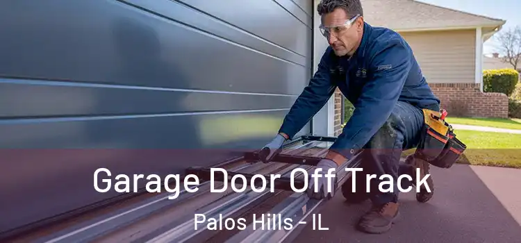  Garage Door Off Track Palos Hills - IL