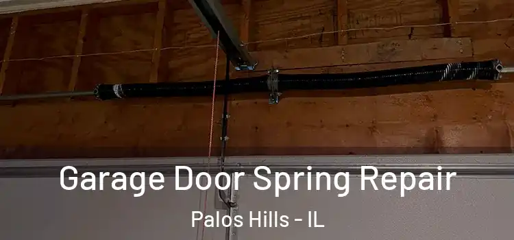  Garage Door Spring Repair Palos Hills - IL