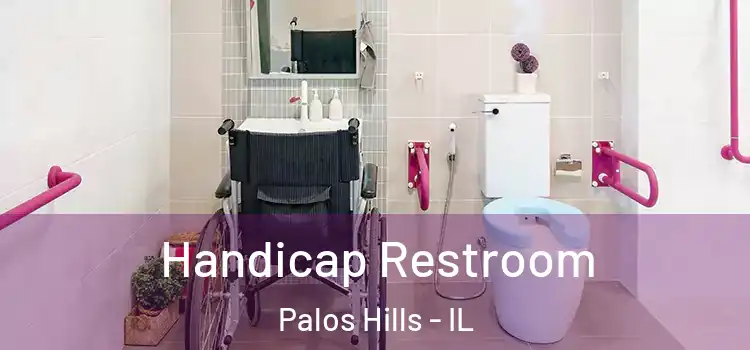 Handicap Restroom Palos Hills - IL