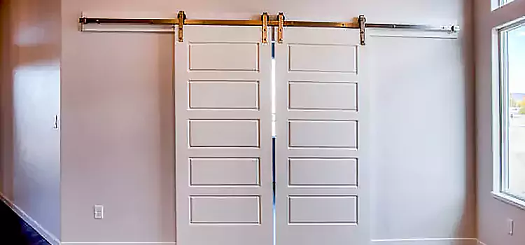 Glass Barn Door with Installation Hardware Kit Palos Hills