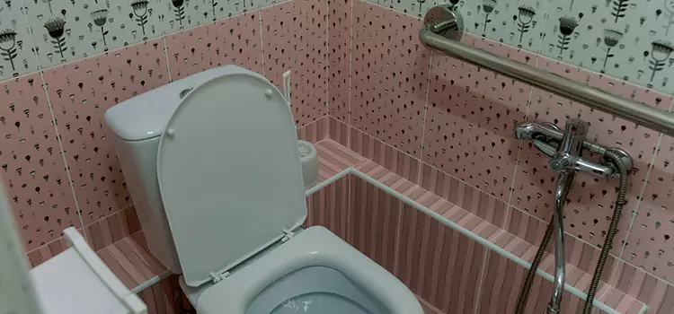 Meeting Diverse Needs With Accessible Restroom Solutions in Palos Hills, IL