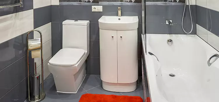 Hansgrohe Shaving Mirror Palos Hills
