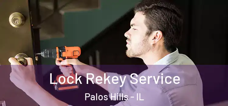 Lock Rekey Service Palos Hills - IL