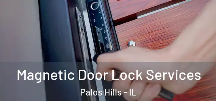 Magnetic Door Lock Services Palos Hills - IL