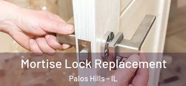 Mortise Lock Replacement Palos Hills - IL