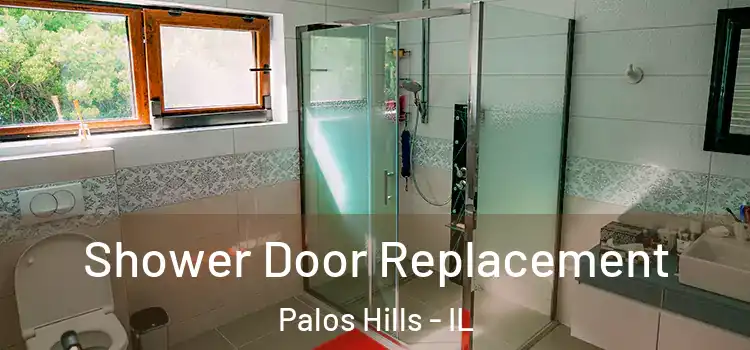 Shower Door Replacement Palos Hills - IL