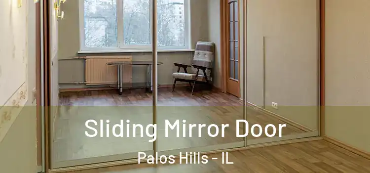  Sliding Mirror Door Palos Hills - IL