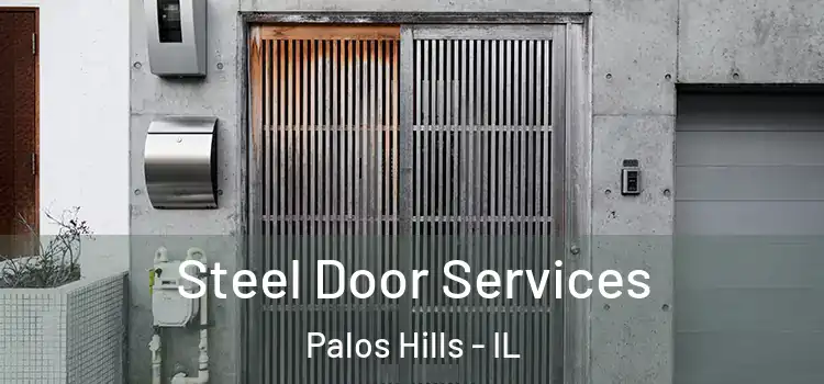 Steel Door Services Palos Hills - IL